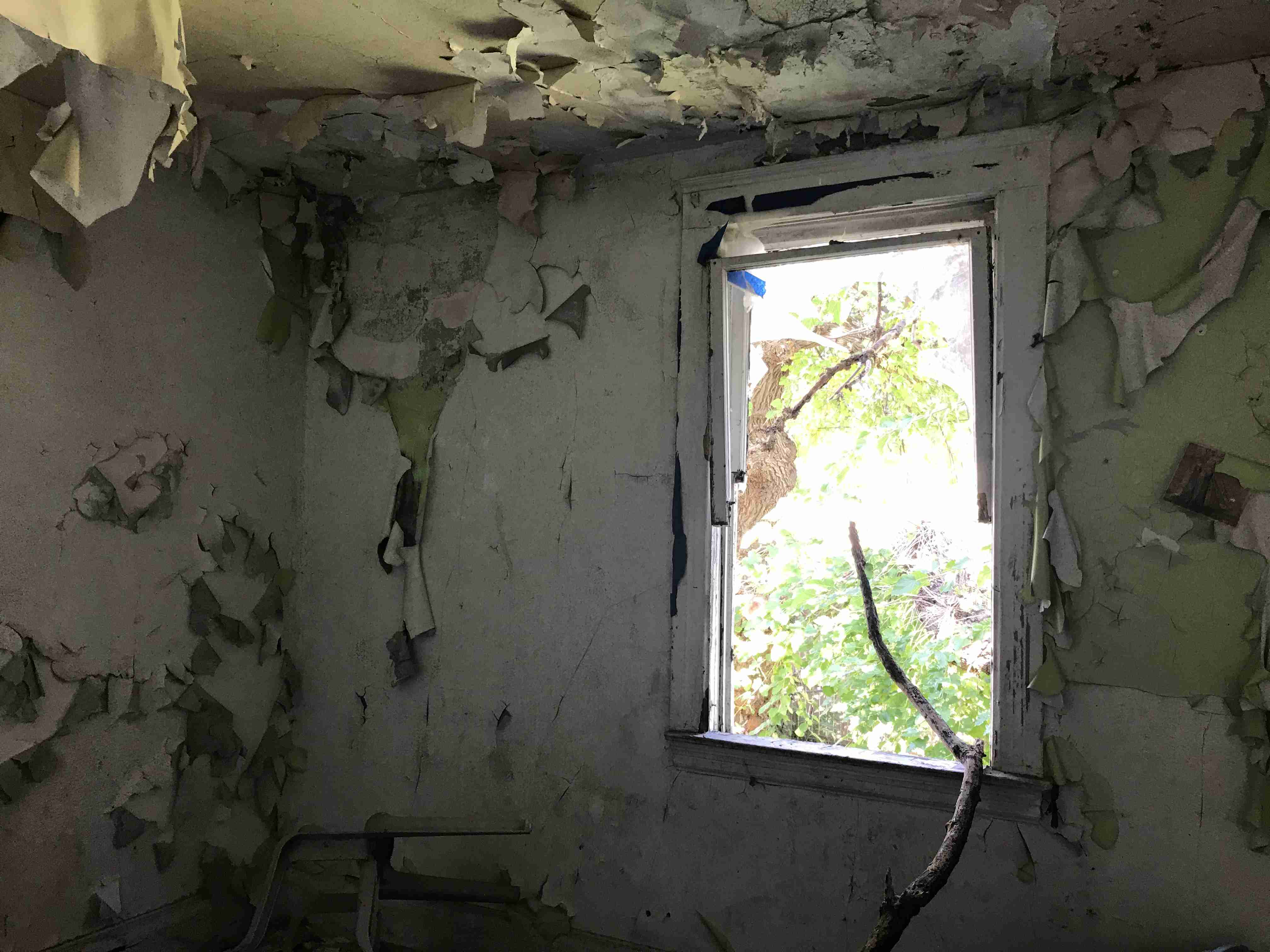 Photo Oct 13, 11 40 54 AM.jpg